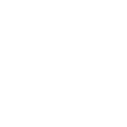 Maintenance & Hosting